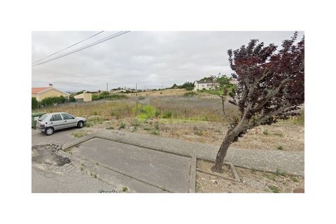 Terra a Cartaxo, Santarem, Cartaxo - € 50.000 | Ref: 2069 - foto 3