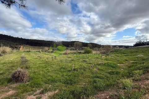 Helårsgrund i Torres Vedras, Lisbon, Torres Vedras - € 55.000 | Ref: 1999 - foto 4