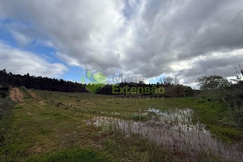 Helårsgrund i Torres Vedras, Lisbon, Torres Vedras - € 55.000 | Ref: 1999 - foto 8