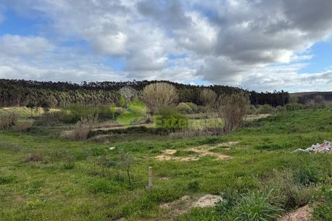 Helårsgrund i Torres Vedras, Lisbon, Torres Vedras - € 55.000 | Ref: 1999 - foto 9