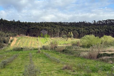 Helårsgrund i Torres Vedras, Lisbon, Torres Vedras - € 55.000 | Ref: 1999 - foto 10