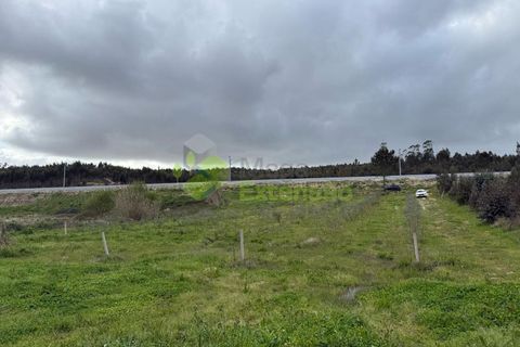 Helårsgrund i Torres Vedras, Lisbon, Torres Vedras - € 55.000 | Ref: 1999 - foto 11