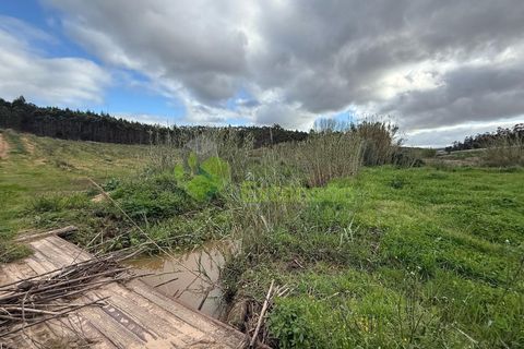 Helårsgrund i Torres Vedras, Lisbon, Torres Vedras - € 55.000 | Ref: 1999 - foto 12