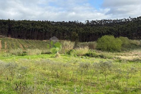 Helårsgrund i Torres Vedras, Lisbon, Torres Vedras - € 55.000 | Ref: 1999 - foto 13