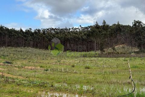 Helårsgrund i Torres Vedras, Lisbon, Torres Vedras - € 55.000 | Ref: 1999 - foto 14