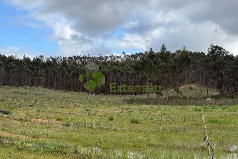 Helårsgrund i Torres Vedras, Lisbon, Torres Vedras - € 55.000 | Ref: 1999 - foto 20