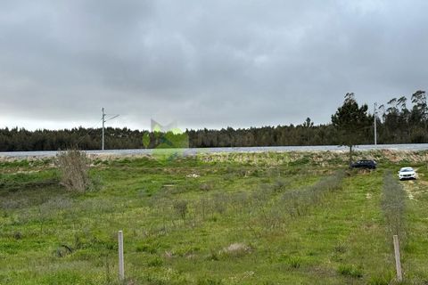 Helårsgrund i Torres Vedras, Lisbon, Torres Vedras - € 55.000 | Ref: 1999 - foto 21