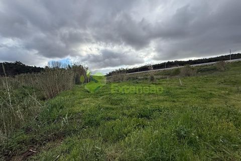 Helårsgrund i Torres Vedras, Lisbon, Torres Vedras - € 55.000 | Ref: 1999 - foto 22