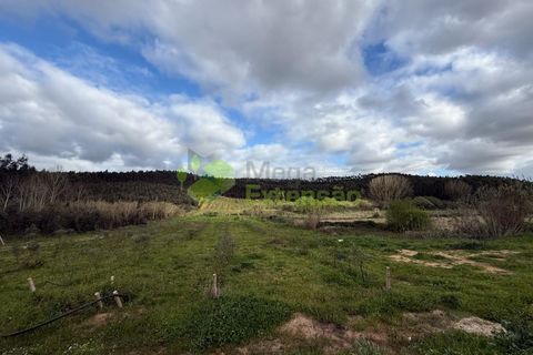 Helårsgrund i Torres Vedras, Lisbon, Torres Vedras - € 55.000 | Ref: 1999 - foto 24