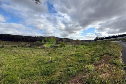 Helårsgrund i Torres Vedras, Lisbon, Torres Vedras - € 55.000 | Ref: 1999 - foto 25