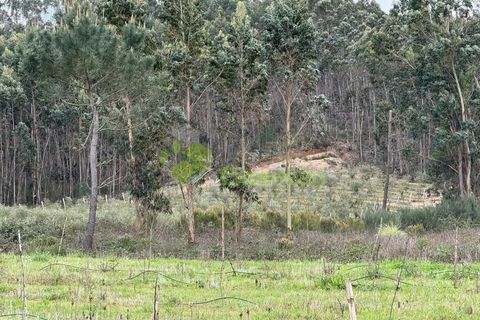 Helårsgrund i Torres Vedras, Lisbon, Torres Vedras - € 55.000 | Ref: 1999 - foto 26