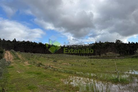 Helårsgrund i Torres Vedras, Lisbon, Torres Vedras - € 55.000 | Ref: 1999 - foto 27