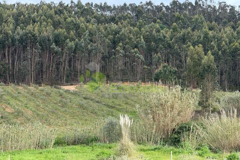 Helårsgrund i Torres Vedras, Lisbon, Torres Vedras - € 55.000 | Ref: 1999 - foto 28