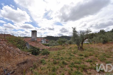 Stadthaus in Penela, Coimbra, Penela - € 45.000 | Ref: 148764 - Foto 18