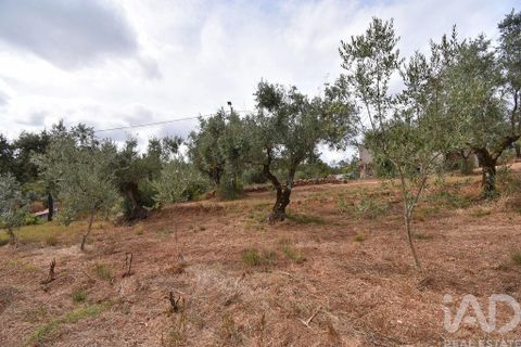Stadthaus in Penela, Coimbra, Penela - € 45.000 | Ref: 148764 - Foto 20