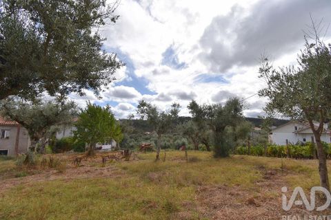 Stadthaus in Penela, Coimbra, Penela - € 45.000 | Ref: 148764 - Foto 22