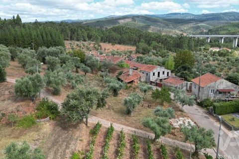 Stadthaus in Penela, Coimbra, Penela - € 45.000 | Ref: 148764 - Foto 23