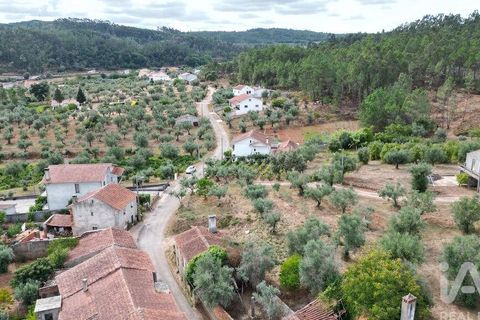Stadthaus in Penela, Coimbra, Penela - € 45.000 | Ref: 148764 - Foto 24