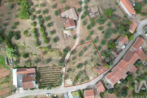 Stadthaus in Penela, Coimbra, Penela - € 45.000 | Ref: 148764 - Foto 26