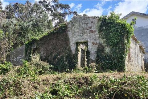 Byhus i Vila Nova de Cerveira, Viana do Castelo, Vila Nova de Cerveira - € 150.000 | Ref: 70431 - foto 2