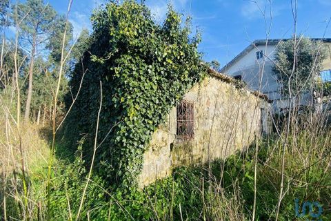 Byhus i Vila Nova de Cerveira, Viana do Castelo, Vila Nova de Cerveira - € 150.000 | Ref: 70431 - foto 6