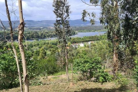 Byhus i Vila Nova de Cerveira, Viana do Castelo, Vila Nova de Cerveira - € 150.000 | Ref: 70431 - foto 8