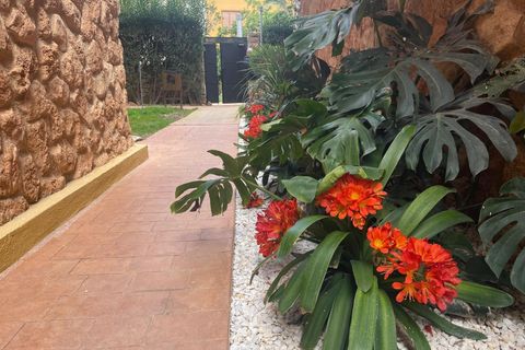 Lejlighed i Punta Prima, Alicante, Punta Prima - € 300.000 | Ref: R-67834 - foto 24
