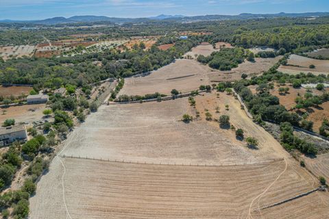 Terra a Sineu, Mallorca, Sineu - € 182.100 | Ref: 08MRGE001/10961 - foto 7