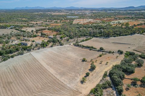 Terra a Sineu, Mallorca, Sineu - € 182.100 | Ref: 08MRGE001/10961 - foto 8
