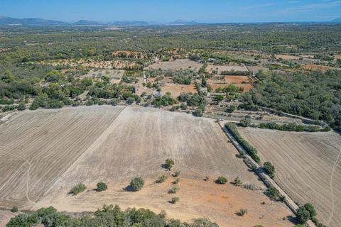 Terra a Sineu, Mallorca, Sineu - € 182.100 | Ref: 08MRGE001/10961 - foto 9