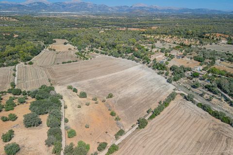 Terra a Sineu, Mallorca, Sineu - € 182.100 | Ref: 08MRGE001/10961 - foto 10