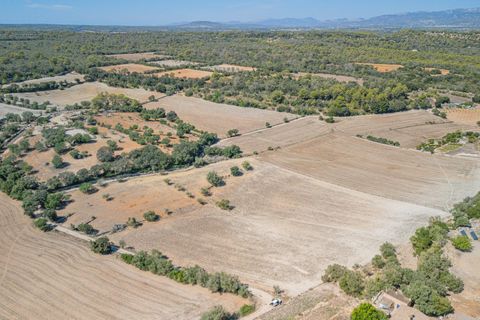 Terra a Sineu, Mallorca, Sineu - € 182.100 | Ref: 08MRGE001/10961 - foto 12