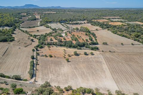 Terra a Sineu, Mallorca, Sineu - € 182.100 | Ref: 08MRGE001/10961 - foto 13