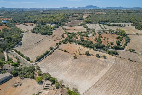 Terra a Sineu, Mallorca, Sineu - € 182.100 | Ref: 08MRGE001/10961 - foto 14