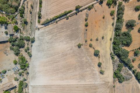 Terra a Sineu, Mallorca, Sineu - € 182.100 | Ref: 08MRGE001/10961 - foto 15