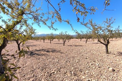 Helårsgrund i Monovar, Alicante, Monovar - € 55.000 | Ref: 70066 - foto 3