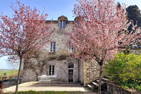 Villa i Issigeac, Dordogne, Issigeac - € 958.333 | Ref: BVI81051 - foto 1