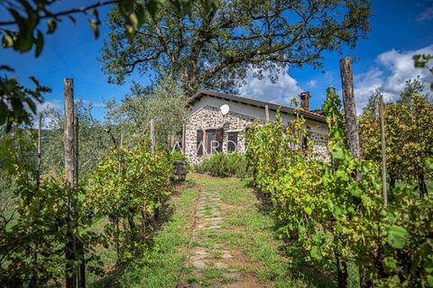 Villa i Bagnone, Massa and Carrara, Bagnone - € 2 650 000 | Ref: 5891 - foto 21