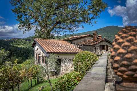 Villa i Bagnone, Massa and Carrara, Bagnone - € 2 650 000 | Ref: 5891 - foto 22