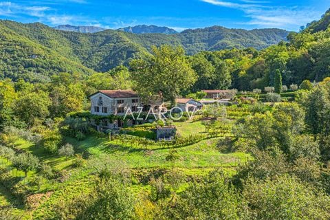 Villa i Bagnone, Massa and Carrara, Bagnone - € 2 650 000 | Ref: 5891 - foto 30