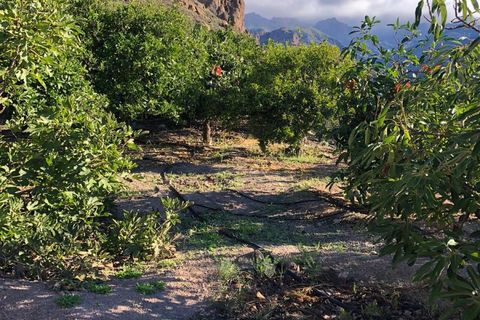 Helårsgrund i Mogan, Gran Canaria, Mogan - € 56.500 | Ref: FIN_2827/5259 - foto 7