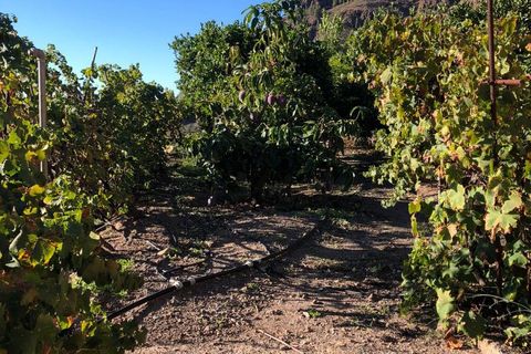 Helårsgrund i Mogan, Gran Canaria, Mogan - € 56.500 | Ref: FIN_2827/5259 - foto 8