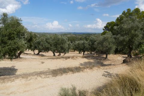 Finca i Calaceite, Teruel, Calaceite - € 7.500 | Ref: 1089 - foto 33