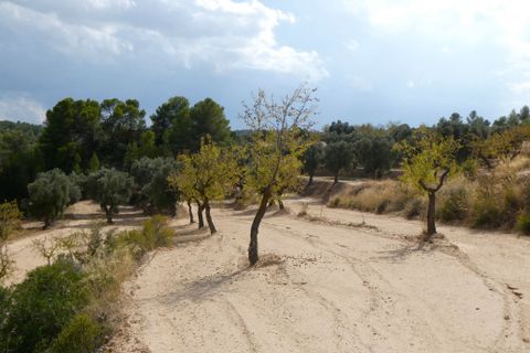 Finca i Calaceite, Teruel, Calaceite - € 7.500 | Ref: 1089 - foto 7