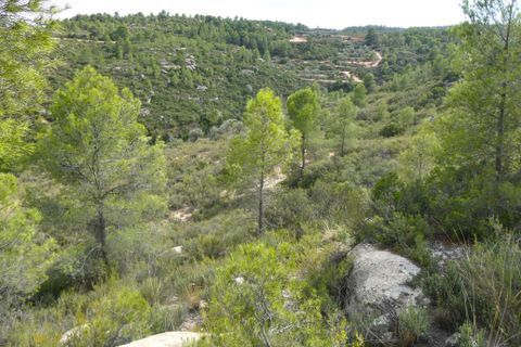 Finca i Calaceite, Teruel, Calaceite - € 7.500 | Ref: 1089 - foto 23