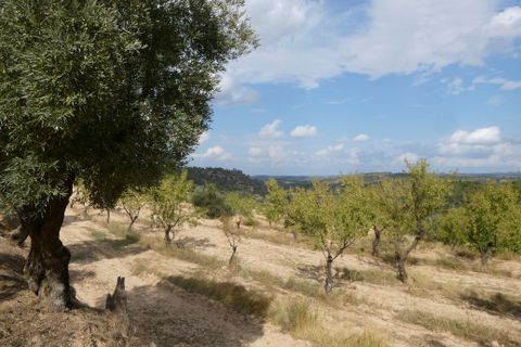 Finca i Calaceite, Teruel, Calaceite - € 7.500 | Ref: 1089 - foto 10