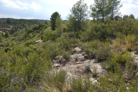 Finca i Calaceite, Teruel, Calaceite - € 7.500 | Ref: 1089 - foto 21