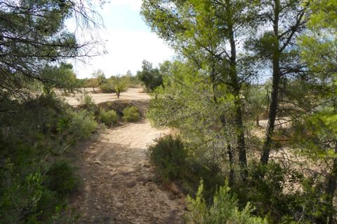 Finca i Calaceite, Teruel, Calaceite - € 7.500 | Ref: 1089 - foto 14
