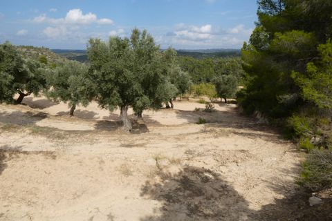 Finca i Calaceite, Teruel, Calaceite - € 7.500 | Ref: 1089 - foto 13