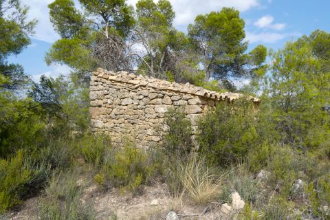 Finca i Calaceite, Teruel, Calaceite - € 7.500 | Ref: 1089 - foto 20
